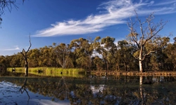 Kings Billabong Wildlife Reserve